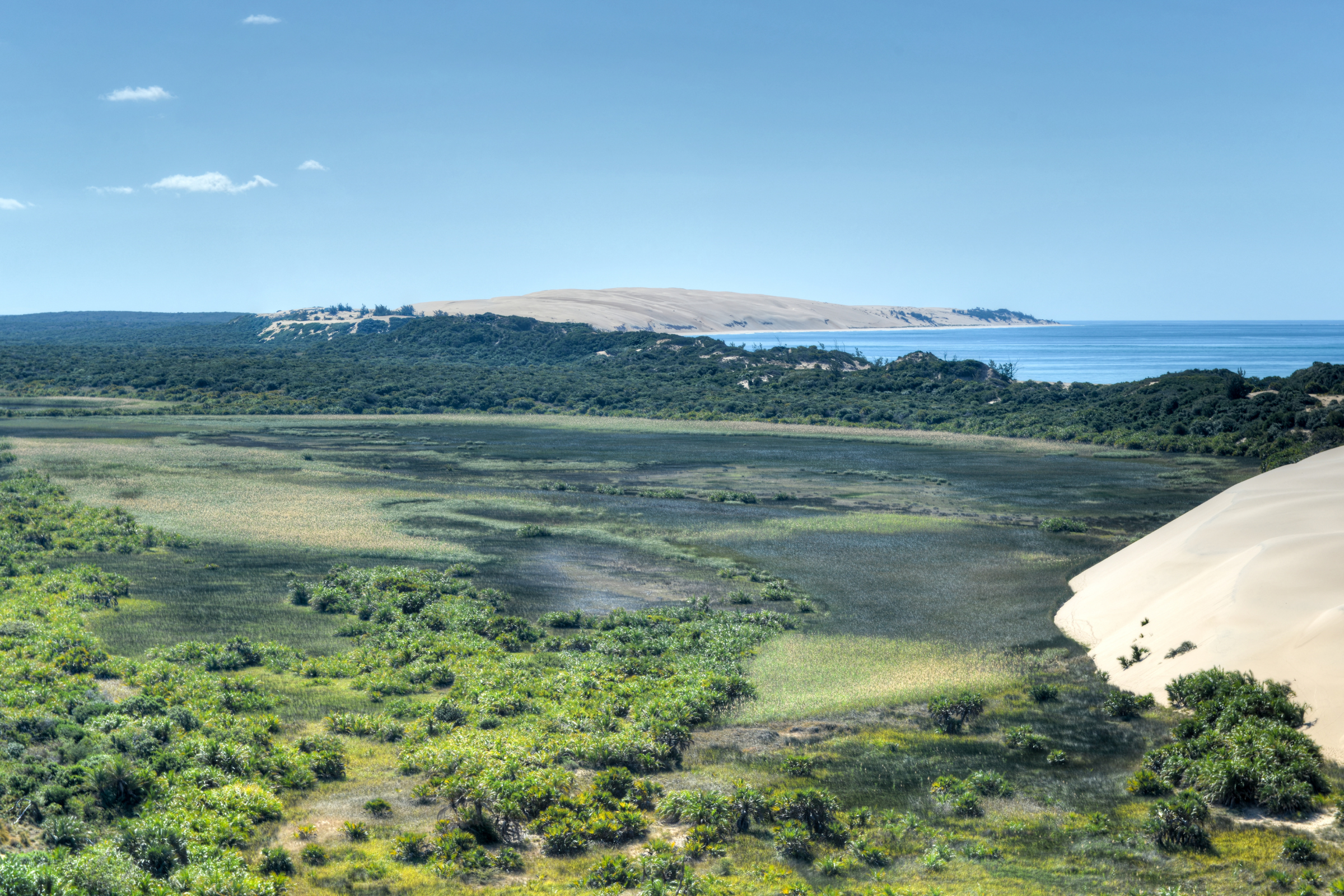 51 pomene national reserve.webp